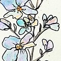 Blue Wildflowers