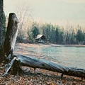 Glacier Park Cabins