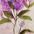 Lilacs