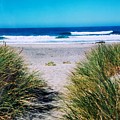 September Beach